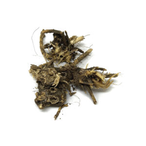Herb Dry Angelica Root (Angelica archangelica), 30g