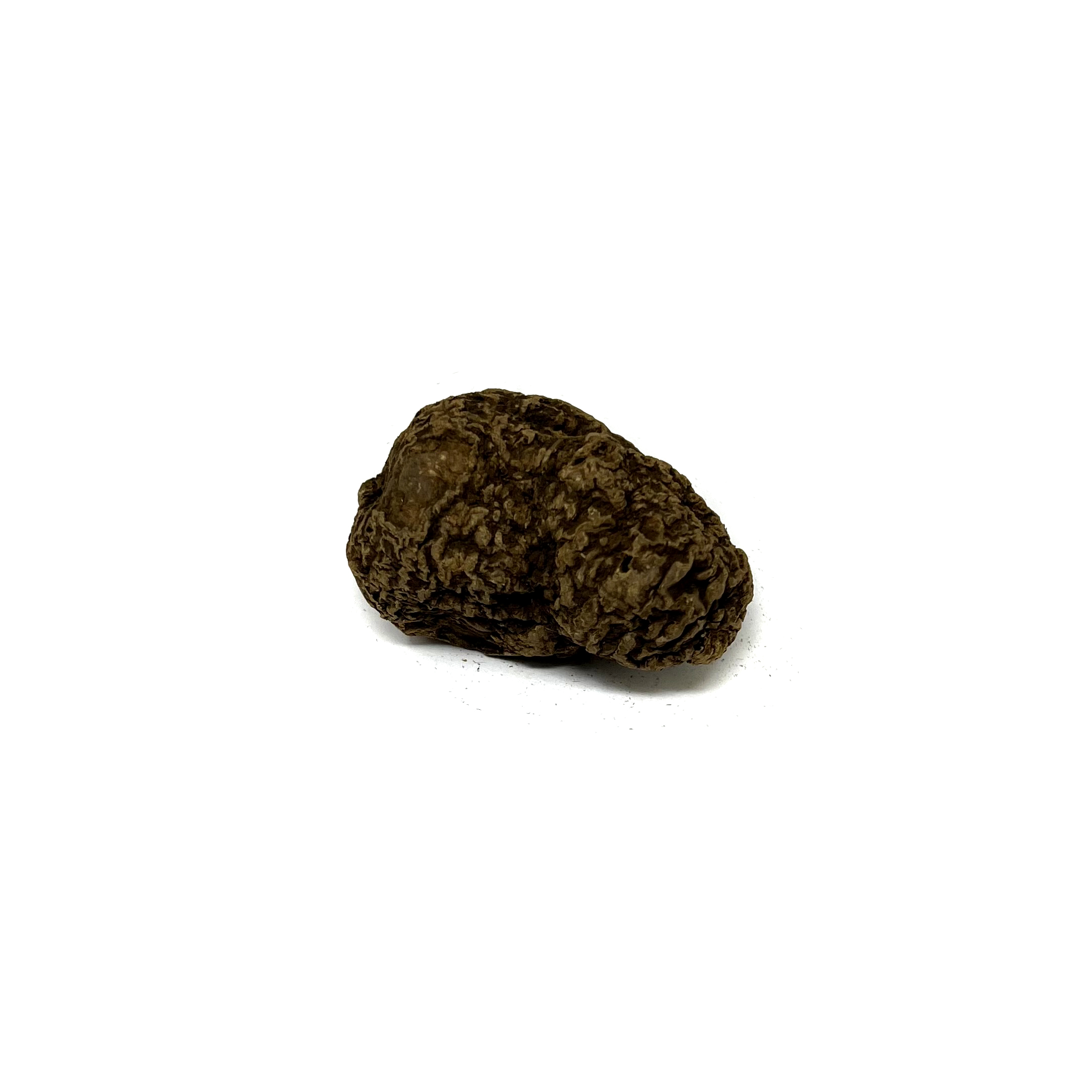 Herb Dry High John the Conqueror Roots, 30g