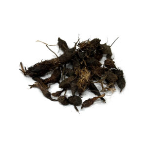 Herb Dry Nagarmotha, 30g